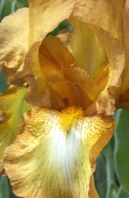 DSCF3208.JPG