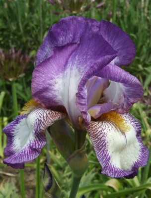DSCF3248.JPG