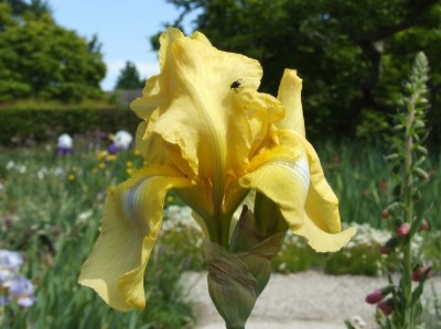 DSCF3236.JPG