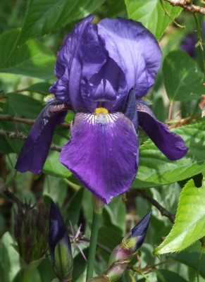 DSCF3229.JPG