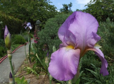DSCF3222.JPG