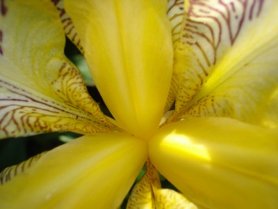 Mai 2008 015.jpg