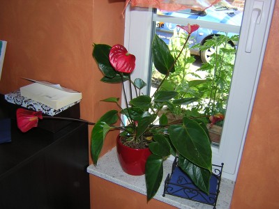 DSCN2792.JPG