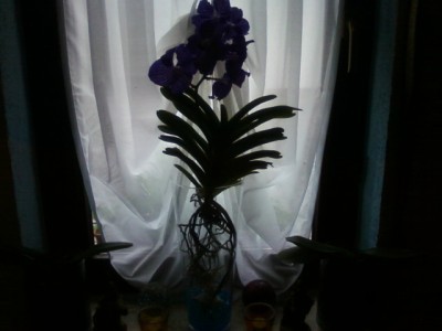 t_foto-0007_117.jpg