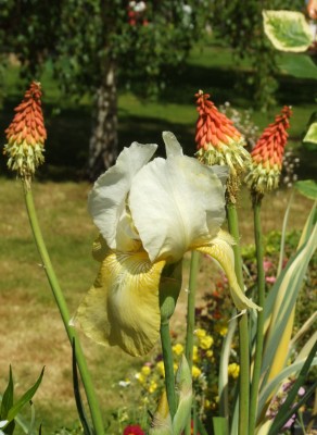 DSCF3512.JPG