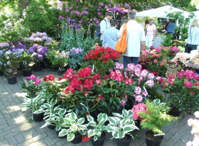 DSCF3574.JPG