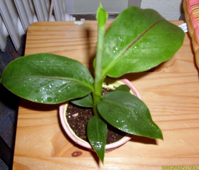 S7301781_edited.JPG
