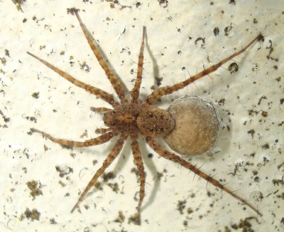 21.05.2008 mutterfreuden.jpg