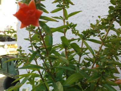 DSC00032.JPG