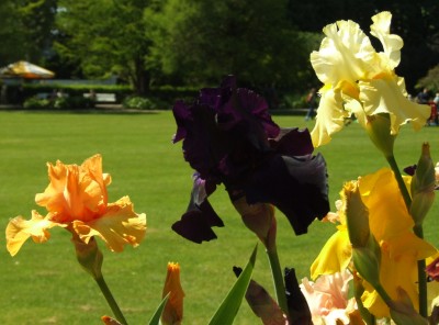 DSCF3520.JPG