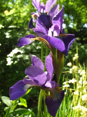 DSCF3492.JPG