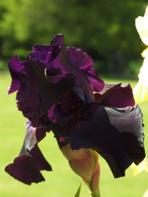 DSCF3522.JPG
