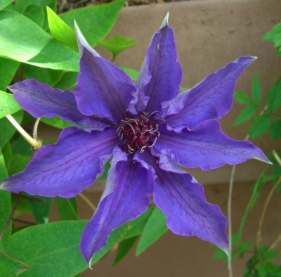 CIMG3152 - Kopie.JPG