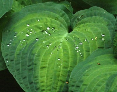 DSCF3141.JPG