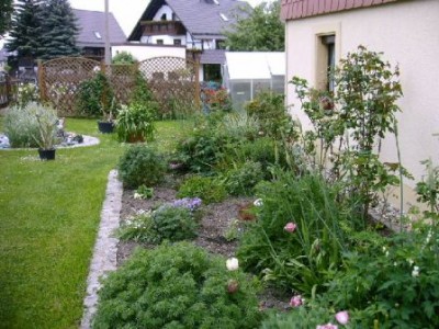 IMAG0045.JPG