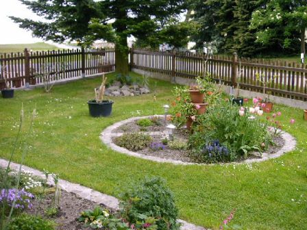 Unter einer Tanne · Gartenplanung & Gartengestaltung · GREEN24 Pflanzen &  Garten Forum