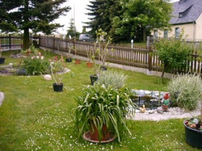 IMAG0038.JPG