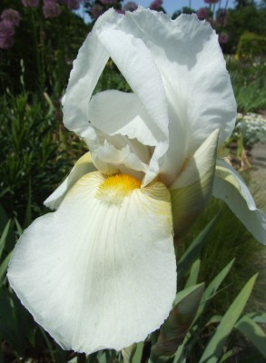 DSCF3269.JPG