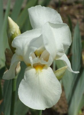 DSCF3264.JPG