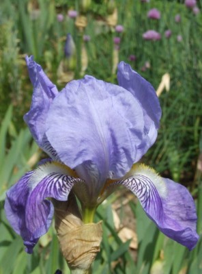 DSCF3261.JPG