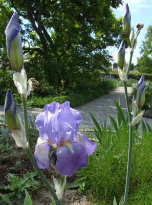 DSCF3259.JPG