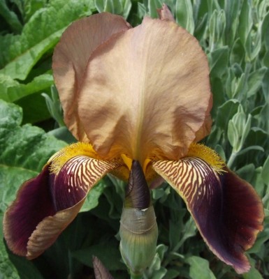 DSCF3253.JPG