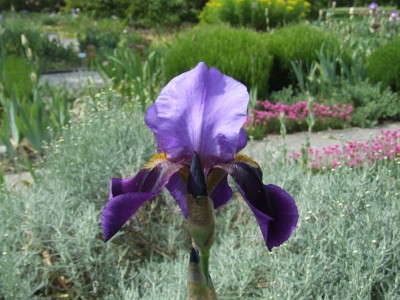 DSCF3278.JPG