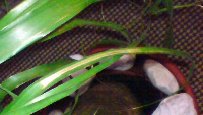 DSC00099.JPG