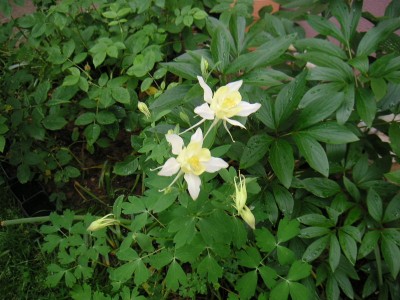 PICT0026.JPG