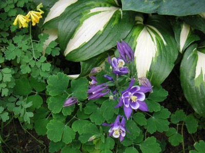 PICT0020.JPG