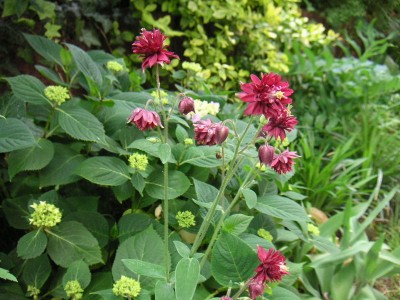 PICT0023.JPG