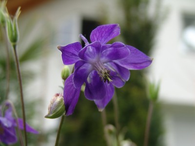 blu08.jpg