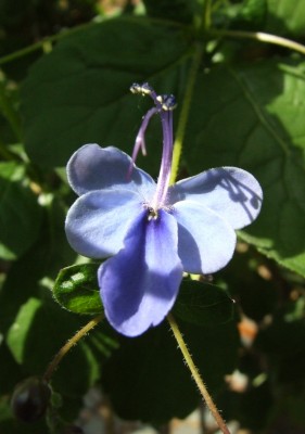 DSCF3587.JPG