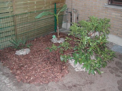 DSCN0118.jpg