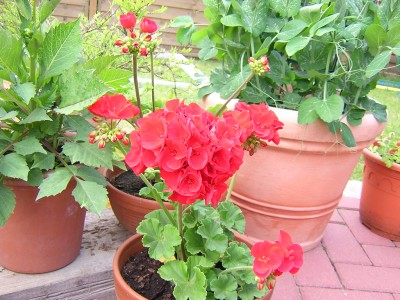 DSCN2801.JPG