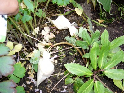 30.05.08 023.jpg