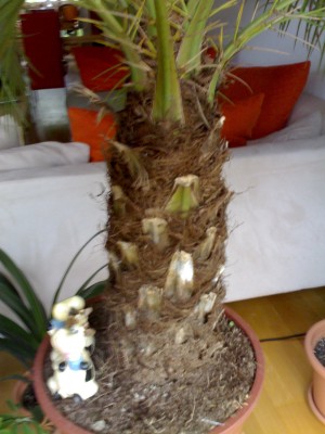 30052008081.jpg