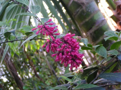 P1010061.JPG