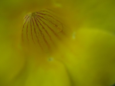 IMG_2391.JPG