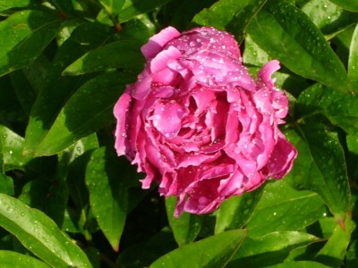 28.05.08 019.jpg