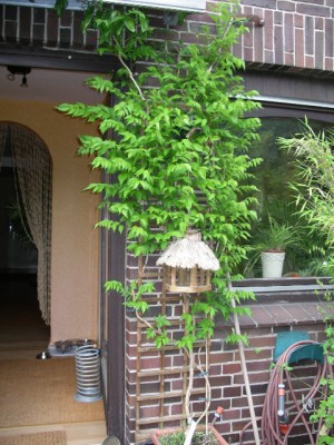 IMGP3392.JPG