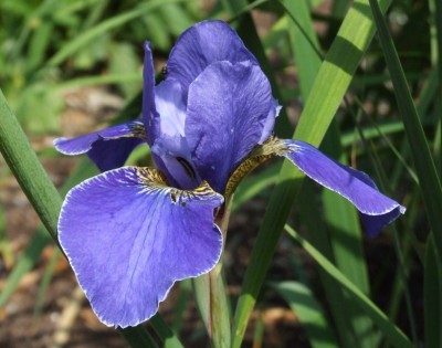 DSCF3738.JPG