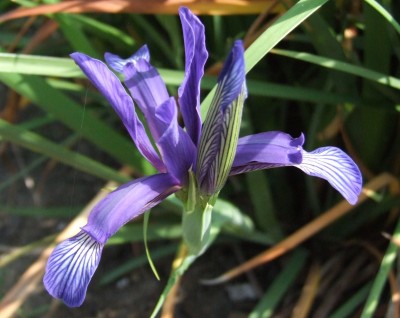 DSCF3753.JPG