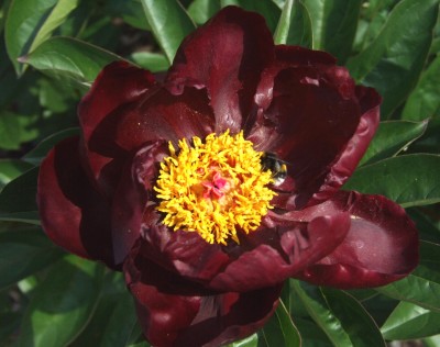 DSCF3802.JPG