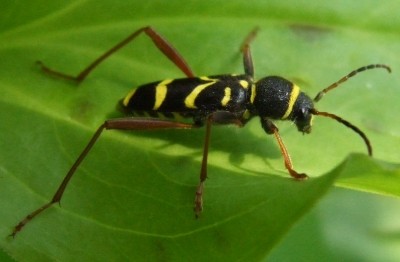 DSCF3687.JPG