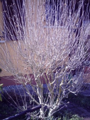 PICT0233.JPG