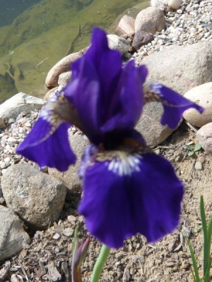 P1000321.JPG