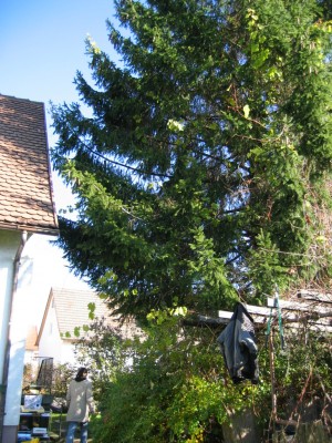 IMG_9882.JPG
