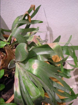 DSCN3524.JPG