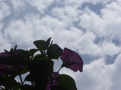 Kleine Prinzessin 002m.jpg